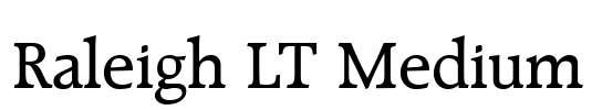 Raleigh LT Medium