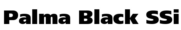 Palma Black SSi