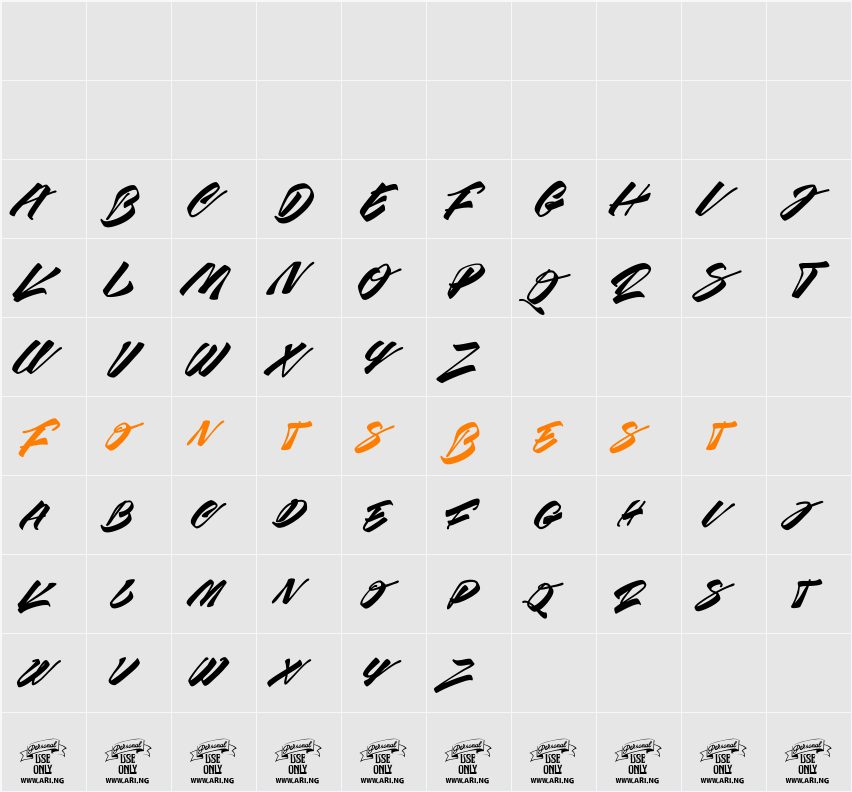 Race Fever Brush PERSONAL Character Map