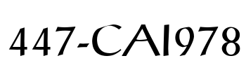 447-CAI978