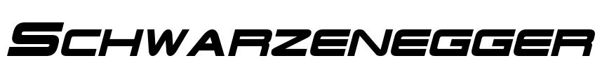 Schwarzenegger Font Image