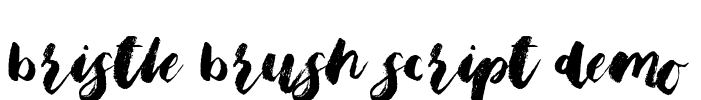Bristle Brush Script Demo Font Image