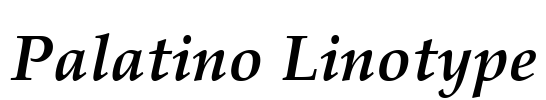Palatino Linotype Font Image