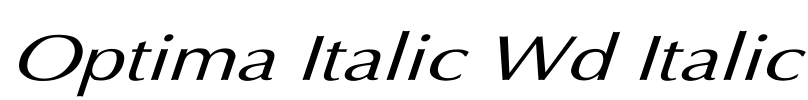 Optima Italic Wd Italic Font Image