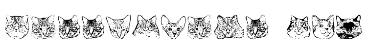 KittyPrint AOE