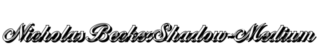 NicholasBeckerShadow-Medium