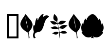 Leaves Font Image
