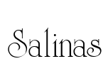 Salinas Font Image