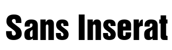 Sans Inserat Font Image