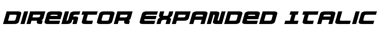 Direktor Expanded Italic Font Image