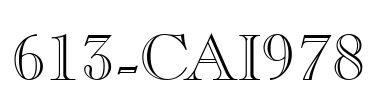 613-CAI978