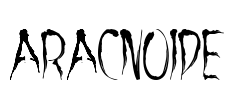 aracnoide