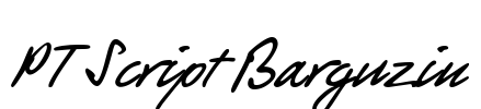 PT Script Barguzin