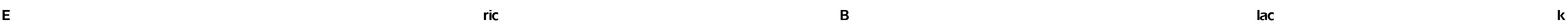 Eric Black Font Image