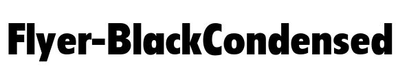 Flyer-BlackCondensed Font Image