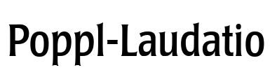 Poppl-Laudatio