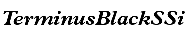 TerminusBlackSSi Font Image