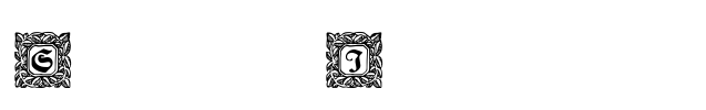 Schmuck-Initialen 2 Font Image