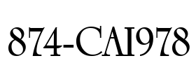 874-CAI978