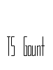 TS Gaunt Font Image