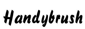 Handybrush