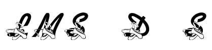 LMS Dance Shoes Font Image