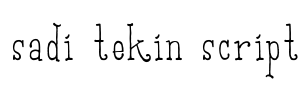 Sadi Tekin Script Font Image
