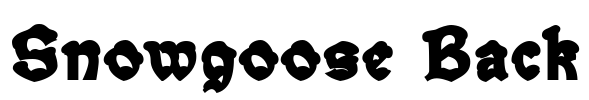 Snowgoose Back