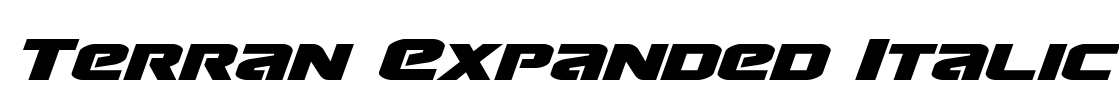 Terran Expanded Italic Font Image