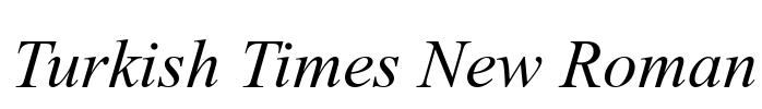 Turkish Times New Roman