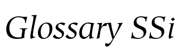 Glossary SSi