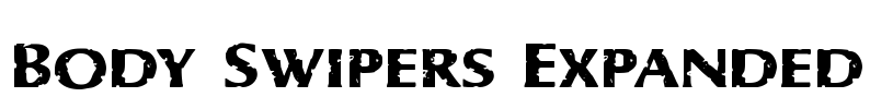 Body Swipers Expanded