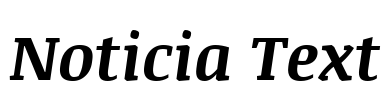 Noticia Text