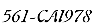 561-CAI978