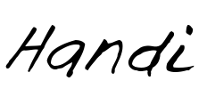Handi