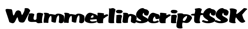 WummerlinScriptSSK Font Image