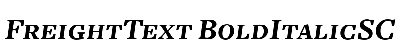 FreightText BoldItalicSC Font Image