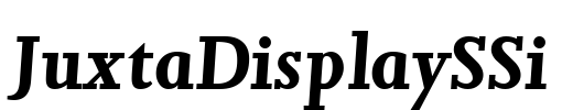 JuxtaDisplaySSi