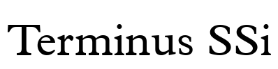 Terminus SSi Font Image