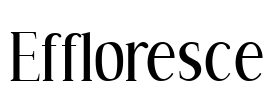 Effloresce Font Image