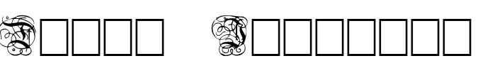 Dutch Initials