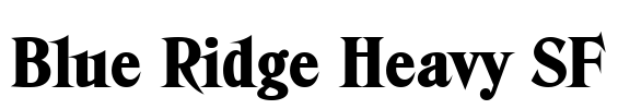 Blue Ridge Heavy SF