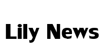 Lily News