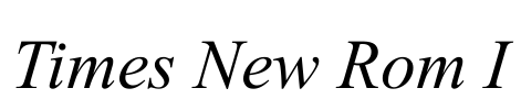 Times New Rom I