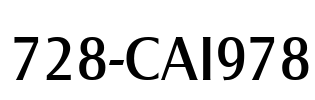 728-CAI978