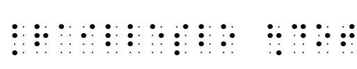 BrailleSlo 8dot