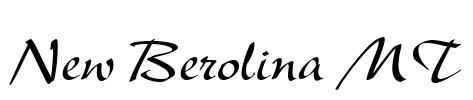 New Berolina MT Font Image