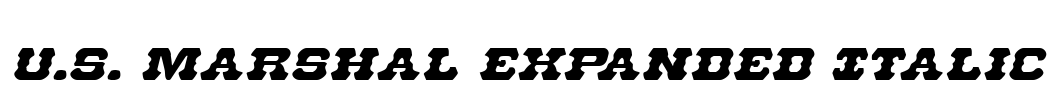 U.S. Marshal Expanded Italic Font Image