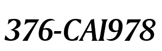 376-CAI978