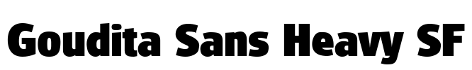 Goudita Sans Heavy SF Font Image